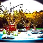 Table-setting-300x215